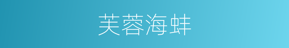 芙蓉海蚌的同义词