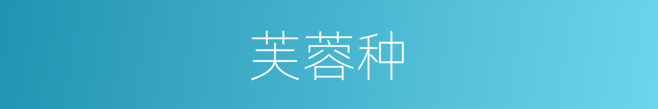 芙蓉种的同义词