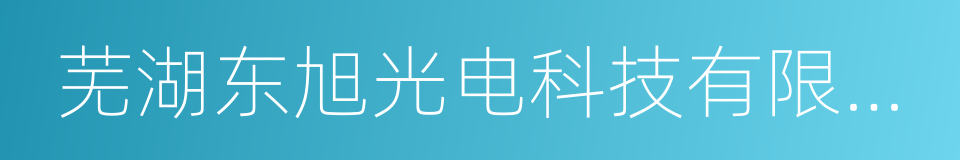 芜湖东旭光电科技有限公司的同义词