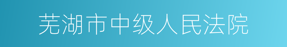 芜湖市中级人民法院的同义词