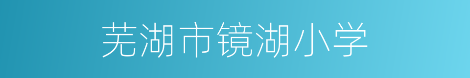 芜湖市镜湖小学的同义词