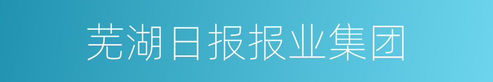 芜湖日报报业集团的同义词