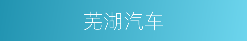芜湖汽车的同义词