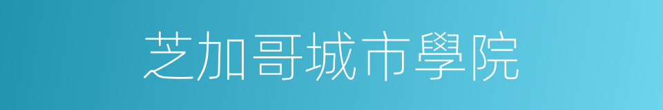 芝加哥城市學院的同義詞