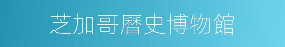 芝加哥曆史博物館的同義詞
