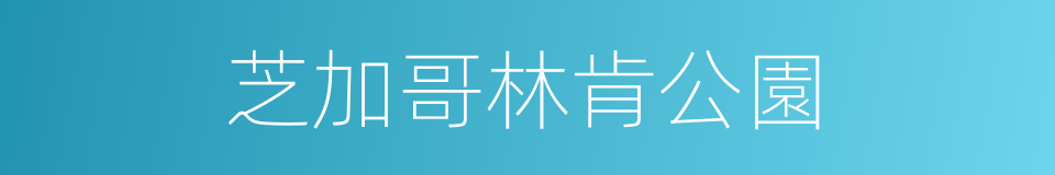 芝加哥林肯公園的同義詞