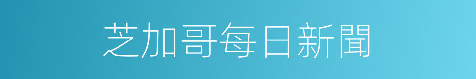 芝加哥每日新聞的同義詞