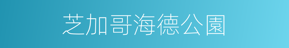 芝加哥海德公園的同義詞