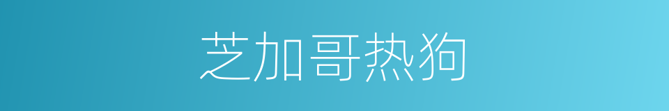 芝加哥热狗的同义词