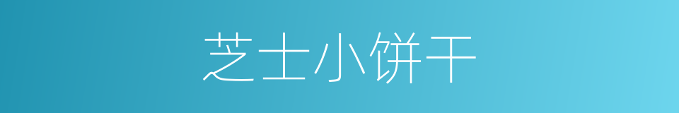 芝士小饼干的同义词