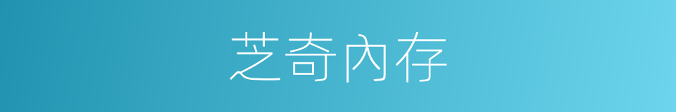 芝奇內存的同義詞