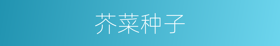芥菜种子的同义词