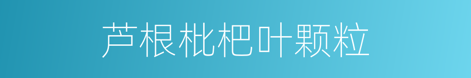 芦根枇杷叶颗粒的同义词