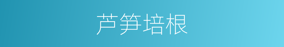 芦笋培根的同义词