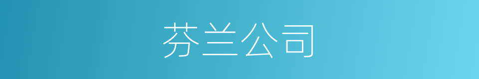 芬兰公司的同义词