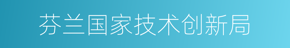 芬兰国家技术创新局的同义词