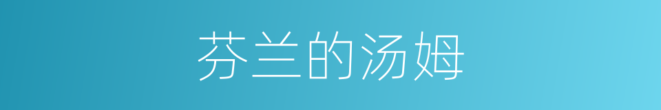 芬兰的汤姆的同义词