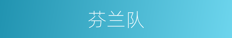 芬兰队的同义词