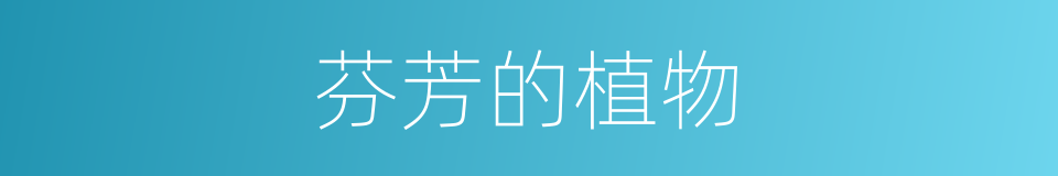 芬芳的植物的同义词