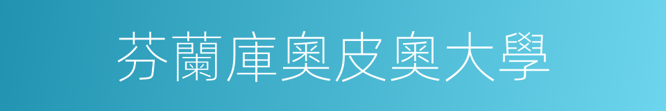 芬蘭庫奧皮奧大學的同義詞