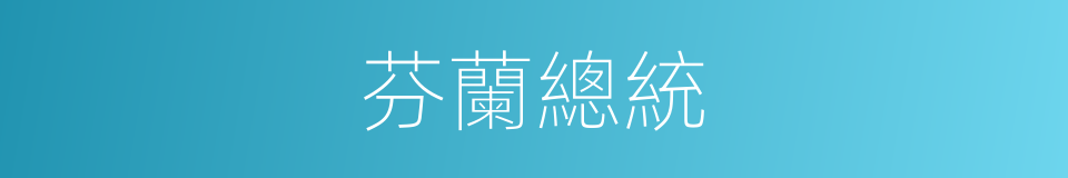 芬蘭總統的同義詞