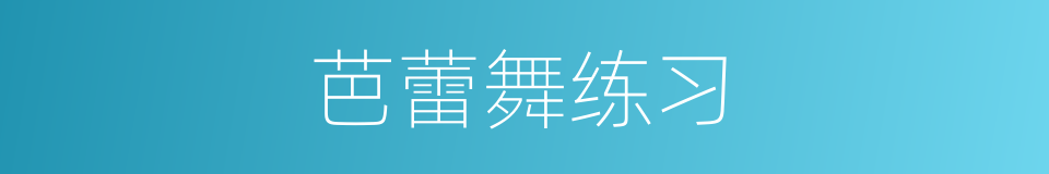 芭蕾舞练习的同义词