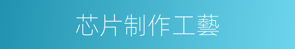 芯片制作工藝的同義詞