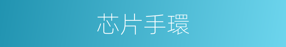 芯片手環的同義詞