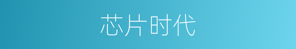 芯片时代的同义词