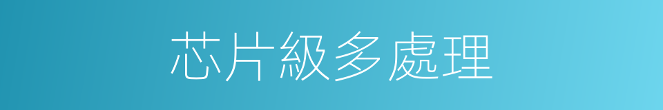 芯片級多處理的同義詞