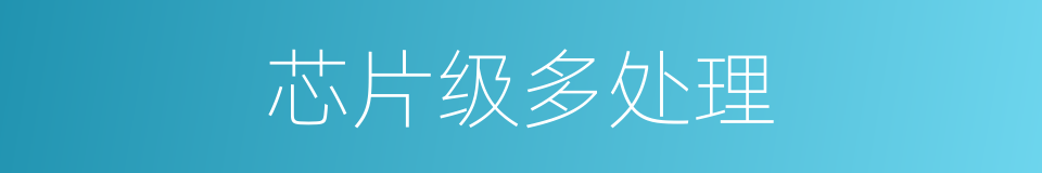 芯片级多处理的同义词