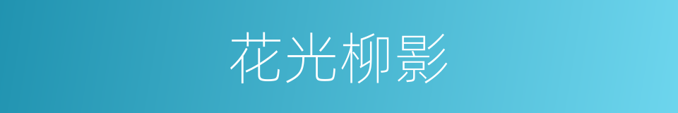 花光柳影的意思