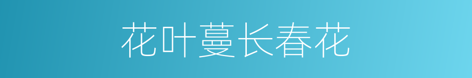 花叶蔓长春花的同义词