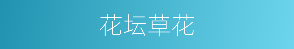 花坛草花的同义词