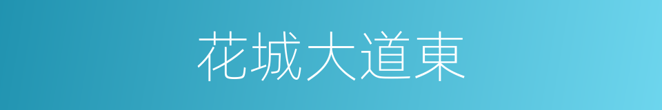 花城大道東的同義詞