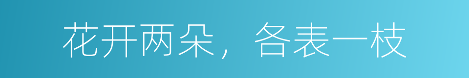 花开两朵，各表一枝的同义词