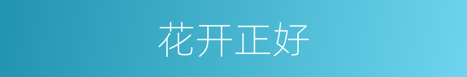 花开正好的同义词