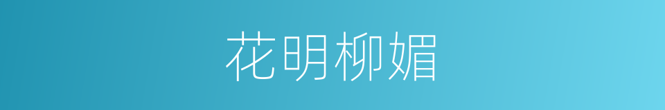 花明柳媚的意思