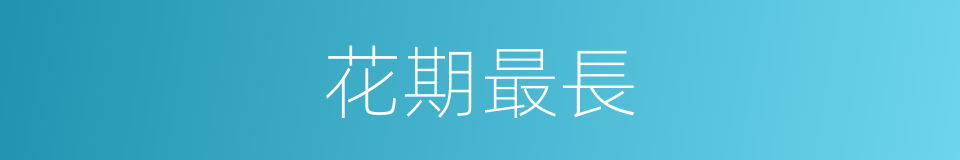 花期最長的同義詞