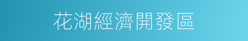 花湖經濟開發區的同義詞