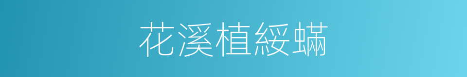 花溪植綏蟎的同義詞