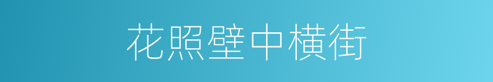 花照壁中横街的同义词
