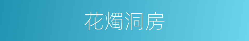 花燭洞房的意思