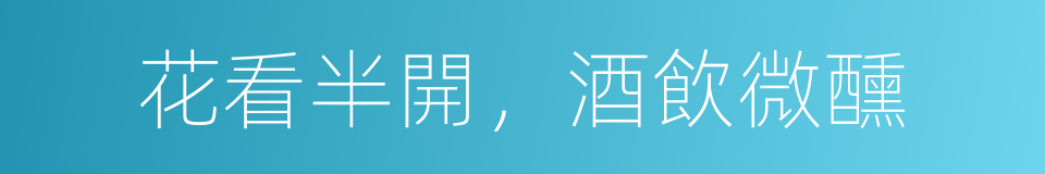 花看半開，酒飲微醺的同義詞