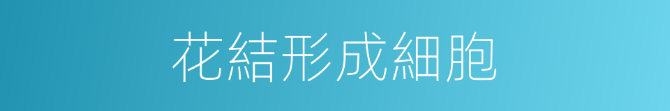 花結形成細胞的同義詞
