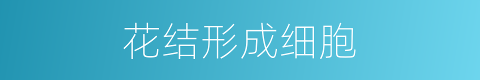 花结形成细胞的同义词