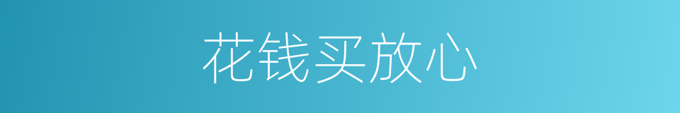 花钱买放心的同义词