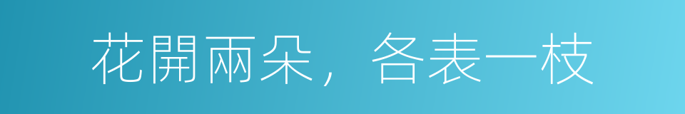 花開兩朵，各表一枝的同義詞