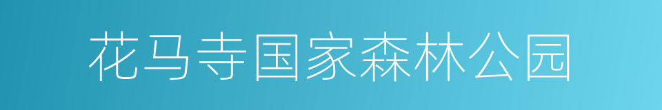 花马寺国家森林公园的同义词