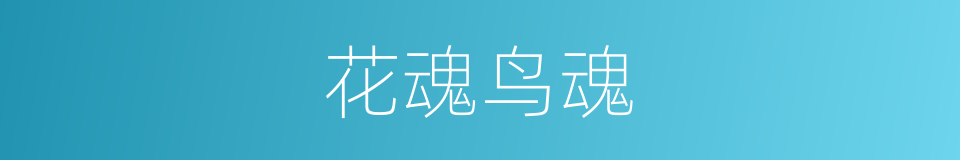 花魂鸟魂的同义词